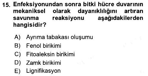 Fitopatoloji 2018-2019 Ara Sınav - 15. soru