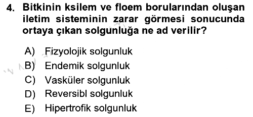 Fitopatoloji 2021-2022 Ara Sınav - 4. soru