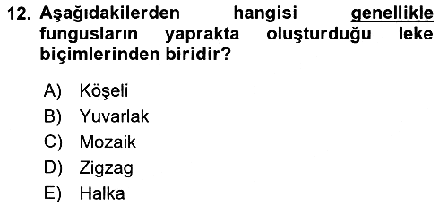 Fitopatoloji 2022-2023 Ara Sınav - 12. soru