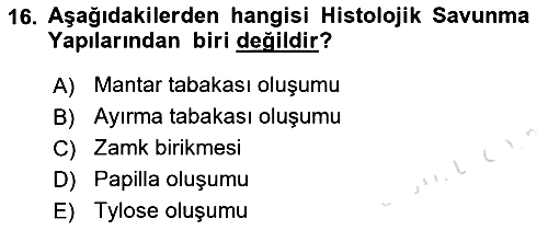 Fitopatoloji 2022-2023 Ara Sınav - 16. soru