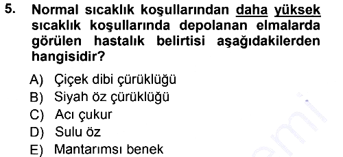 Fitopatoloji 2012-2013 Dönem Sonu Sınavı - 5. soru