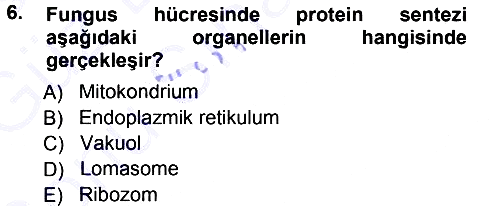 Fitopatoloji 2012-2013 Dönem Sonu Sınavı - 6. soru