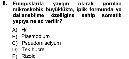 Fitopatoloji 2012-2013 Dönem Sonu Sınavı - 8. soru