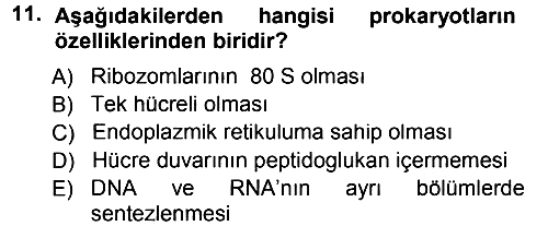 Fitopatoloji 2012-2013 Dönem Sonu Sınavı - 11. soru