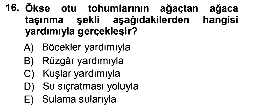 Fitopatoloji 2012-2013 Dönem Sonu Sınavı - 16. soru