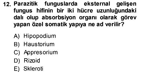 Fitopatoloji 2013-2014 Dönem Sonu Sınavı - 12. soru
