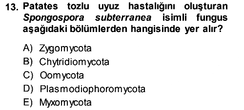 Fitopatoloji 2013-2014 Dönem Sonu Sınavı - 13. soru