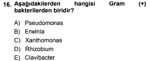 Fitopatoloji 2013-2014 Dönem Sonu Sınavı - 16. soru