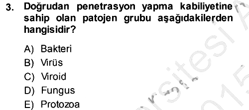 Fitopatoloji 2014-2015 Dönem Sonu Sınavı - 3. soru