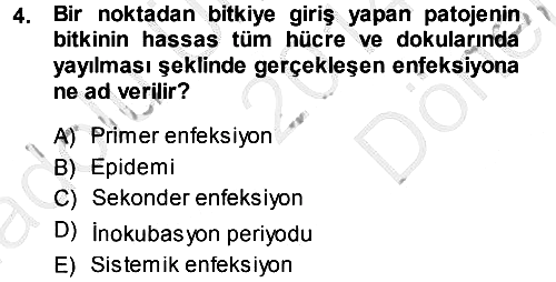 Fitopatoloji 2014-2015 Dönem Sonu Sınavı - 4. soru