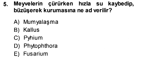 Fitopatoloji 2014-2015 Dönem Sonu Sınavı - 5. soru