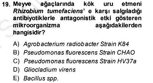 Fitopatoloji 2014-2015 Dönem Sonu Sınavı - 19. soru
