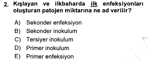 Fitopatoloji 2015-2016 Dönem Sonu Sınavı - 2. soru