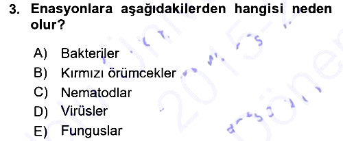 Fitopatoloji 2015-2016 Dönem Sonu Sınavı - 3. soru
