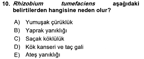 Fitopatoloji 2015-2016 Dönem Sonu Sınavı - 10. soru