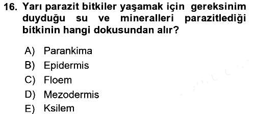 Fitopatoloji 2016-2017 Dönem Sonu Sınavı - 16. soru