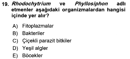 Fitopatoloji 2017-2018 Dönem Sonu Sınavı - 19. soru
