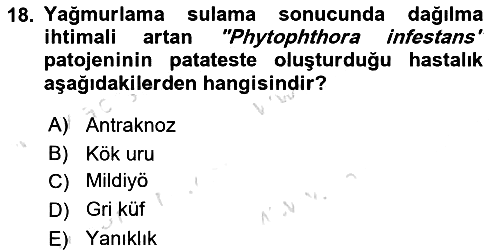 Fitopatoloji 2023-2024 Dönem Sonu Sınavı - 18. soru