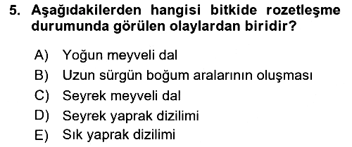 Fitopatoloji 2024-2025 Dönem Sonu Sınavı - 5. soru