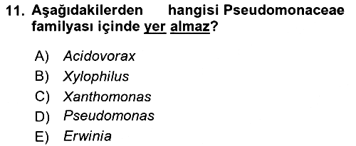 Fitopatoloji 2024-2025 Dönem Sonu Sınavı - 11. soru