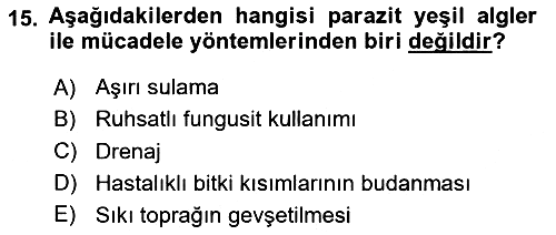 Fitopatoloji 2025-2026 Dönem Sonu Sınavı - 15. soru