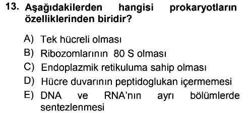 Fitopatoloji 2013-2014 Tek Ders Sınavı - 13. soru