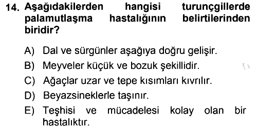 Fitopatoloji 2013-2014 Tek Ders Sınavı - 14. soru