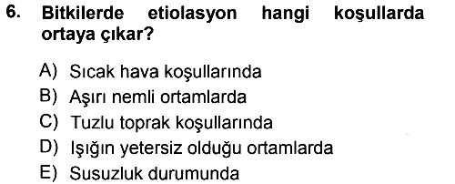 Fitopatoloji 2014-2015 Tek Ders Sınavı - 6. soru