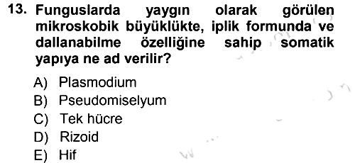 Fitopatoloji 2014-2015 Tek Ders Sınavı - 13. soru