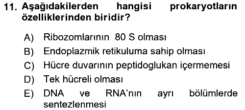 Fitopatoloji 2015-2016 Tek Ders Sınavı - 11. soru