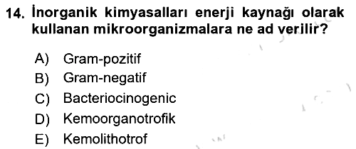 Fitopatoloji 2024-2025 Yaz Okulu Sınavı - 14. soru