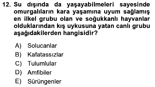Genel Biyoloji 2024-2025 Ara Sınav - 12. soru