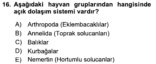 Genel Biyoloji 2021-2022 Dönem Sonu Sınavı - 16. soru
