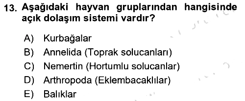 Genel Biyoloji 2022-2023 Dönem Sonu Sınavı - 13. soru