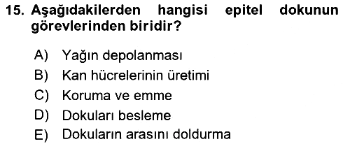 Genel Biyoloji 2022-2023 Dönem Sonu Sınavı - 15. soru