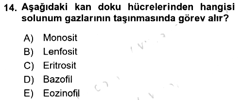 Genel Biyoloji 2023-2024 Dönem Sonu Sınavı - 14. soru
