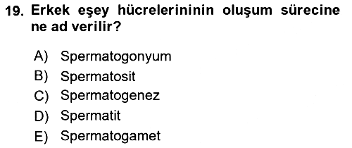 Genel Biyoloji 2024-2025 Dönem Sonu Sınavı - 19. soru