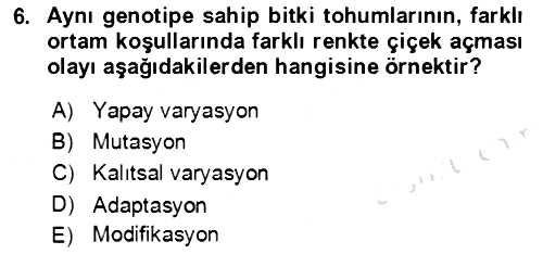 Genel Biyoloji 2021-2022 Yaz Okulu Sınavı - 6. soru