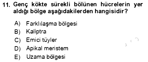 Genel Biyoloji 2021-2022 Yaz Okulu Sınavı - 11. soru