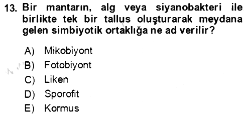 Genel Biyoloji 2021-2022 Yaz Okulu Sınavı - 13. soru
