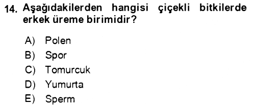 Genel Biyoloji 2021-2022 Yaz Okulu Sınavı - 14. soru