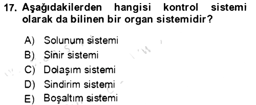 Genel Biyoloji 2021-2022 Yaz Okulu Sınavı - 17. soru
