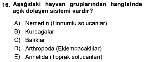 Genel Biyoloji 2022-2023 Yaz Okulu Sınavı - 16. soru