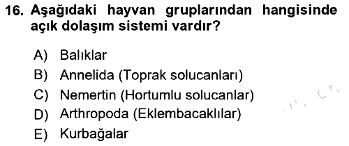 Genel Biyoloji 2023-2024 Yaz Okulu Sınavı - 16. soru