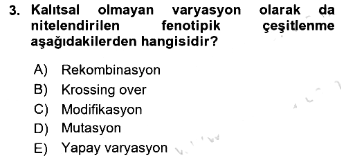 Genel Biyoloji 2024-2025 Yaz Okulu Sınavı - 3. soru