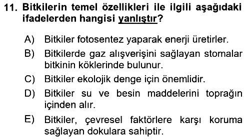 Genel Biyoloji 2024-2025 Yaz Okulu Sınavı - 11. soru