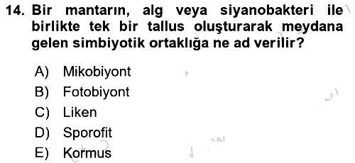 Genel Biyoloji 2024-2025 Yaz Okulu Sınavı - 14. soru