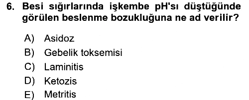 Hayvan Besleme 2016-2017 3 Ders Sınavı - 6. soru
