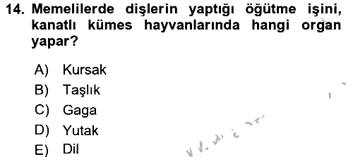 Hayvan Besleme 2016-2017 3 Ders Sınavı - 14. soru