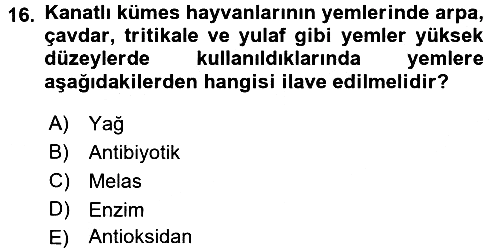 Hayvan Besleme 2016-2017 3 Ders Sınavı - 16. soru